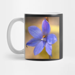 Dotted sun orchid .. Thelymitra ixioides II Mug